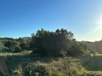 Poljoprivredno zemljište 930 m2 - Prihonja (blizina Vele Luke)