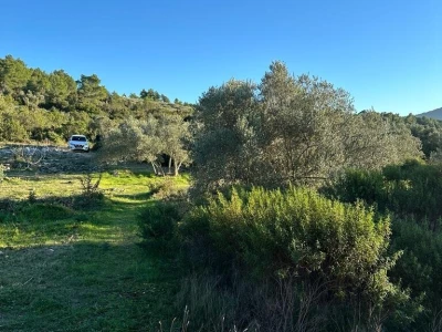 Poljoprivredno zemljište 930 m2 - Prihonja (blizina Vele Luke)