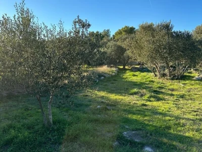 Poljoprivredno zemljište 930 m2 - Prihonja (blizina Vele Luke)