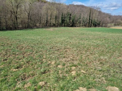 Poljoprivredno zemljište, Bjelovar / Veliko Trojstvo / Vrbica, 4222 m²