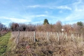 Poljoprivredno zemljište (vinograd)