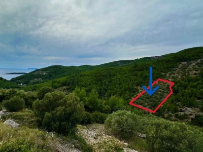 Predivan maslinik 3.965 m2 - blizina uvale Gršćica