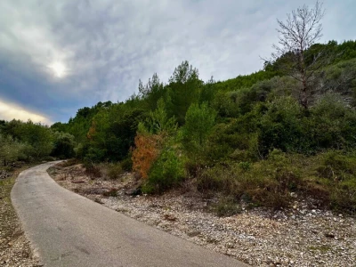Predivan maslinik 3.965 m2 - blizina uvale Gršćica