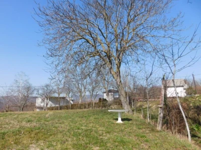 Predivan vinograd na zemljištu 3.975 m2 - Sveti Ivan Zelina