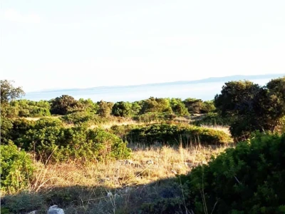 Prodaje se više poljoprivrednih terena na otoku Viru