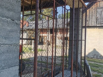prodajem kuružnjak