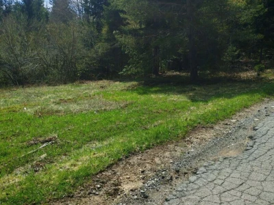 Prodajem povoljno šumu i livade