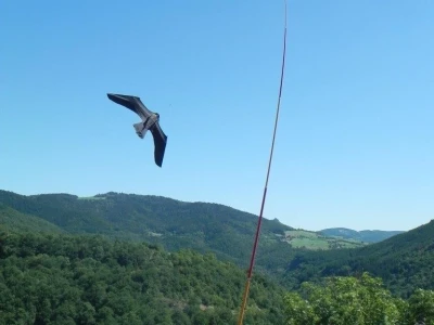 Scarybird - Čuvar vaših usjeva i plodova traži distributere za Hrvatsku!