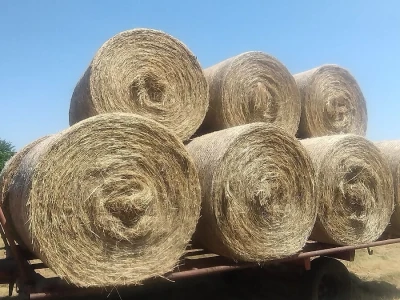 Sijeno u rolo balama