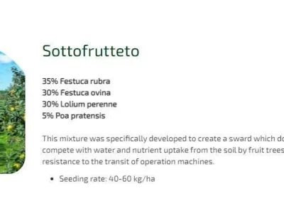 Tavna mješavina SOTTOFRUTTETO 10kg