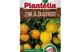 Specijalna zemlja za citruse 10 l