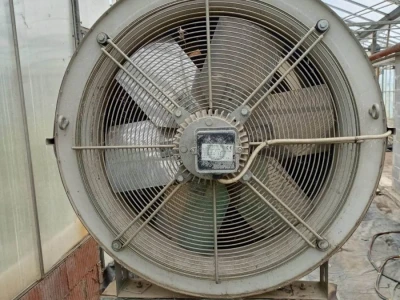 Termogen