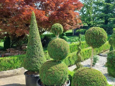 Topiary Bonsai Niwaki - Vrtna ukrasna Drvca - Japanske Skulpture (životinje)