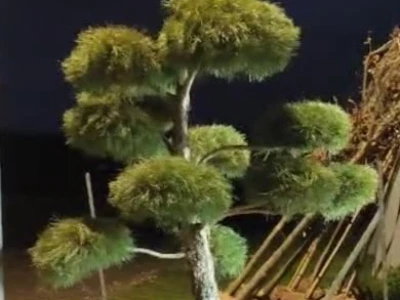 Topiary Bonsai Niwaki - Vrtna ukrasna Drvca - Japanske Skulpture (životinje)