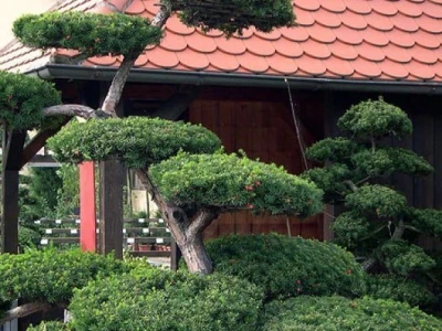 Topiary Bonsai Niwaki - Vrtna ukrasna Drvca - Japanske Skulpture (životinje)