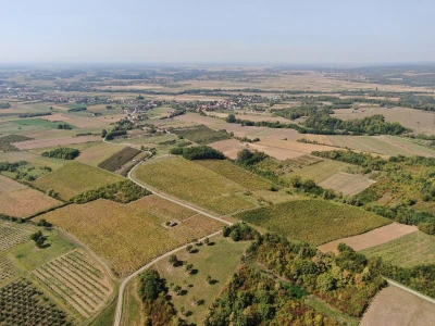 Vinograd 17 hektara Slavonija SNIŽENO