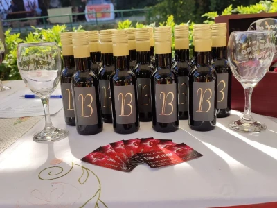 Voćno vino od višnje