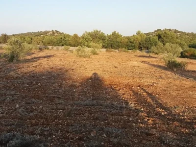 Vodice, poljoprivredno zemljište 15988m2, voda na terenu, mogućnost gradnje