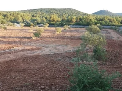Vodice, poljoprivredno zemljište 15988m2, voda na terenu, mogućnost gradnje