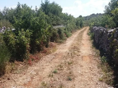 Vodice, poljoprivredno zemljište 15988m2, voda na terenu, mogućnost gradnje