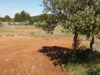 Vodice, poljoprivredno zemljište 15988m2, voda na terenu, mogućnost gradnje