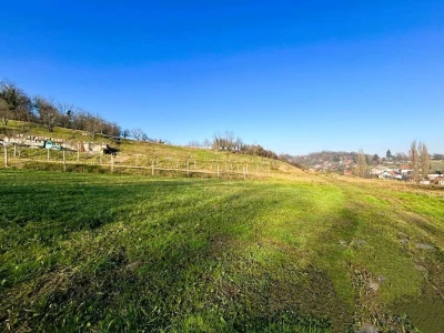 Zelina, Blaškovec, poljoprivredno zemljište 8983 m2