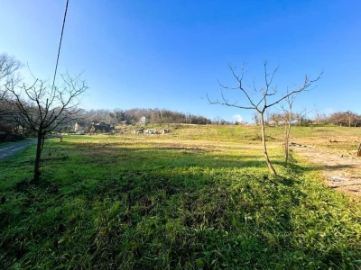 Zelina, Blaškovec, poljoprivredno zemljište 8983 m2