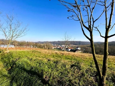 Zelina, Blaškovec, poljoprivredno zemljište 8983 m2
