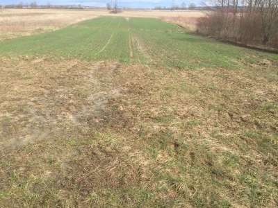 Žerjavinec, Sesvete okolica, poljoprivredno zemljište, livada 1700m2
