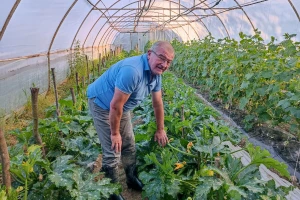 Tomica Japarić, proizvodnja povrća