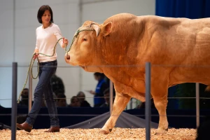 Vodeći sajam za animalnu proizvodnju - EuroTier u Hannoveru