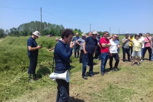 Dan polja uljane repice Bc Instituta u Starom Topolju