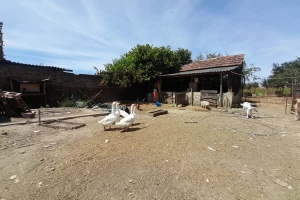 Gospodarstvo Drage Čape