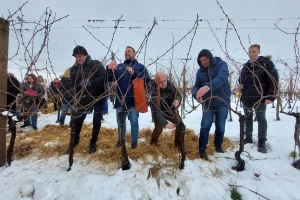 Vinkovo 2023 - FAZOS pokušalište u Mandićevcu
