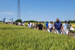 AgroChem MAKS - program SelectiS