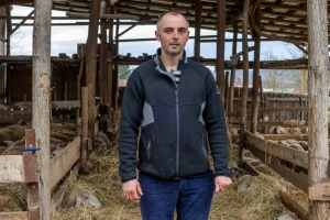 Hranidba janjadi na OPG-u Olivera Pavića