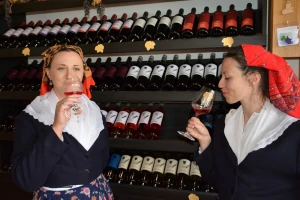 Prvi hrvatski muzej vinogradarstva i vinarstva