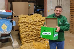 Vađenje ličkog krumpira na poljima tvrtke Agrovelebit