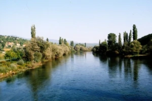 Budućnost poljoprivrede