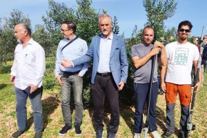 U Birkićevom Gaju i polikonična vaza kumovala obilatom urodu maslina