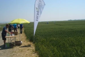 Syngenta zaradionice