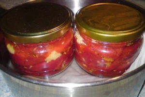 Priprema zimnice