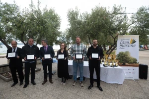 Laureati Dana masline
