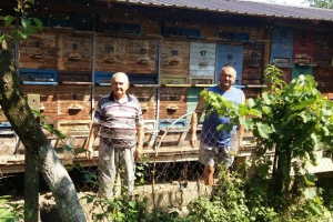 Pčelarstvo Đurić