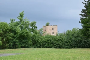 Vinogorje Erdut