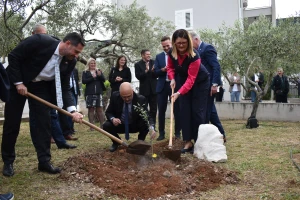 Međunarodna manifestacija maslinara i uljara Noćnjak 2022