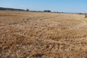 Integrirana ratarska proizvodnja