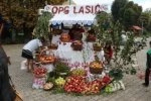 Voćarstvu u Podravini i Prigorju treba vjetar u leđa