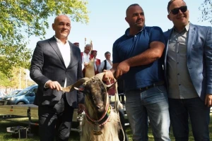 Hrvatska poljoprivredna agencija