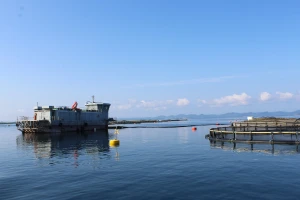 Cromaris